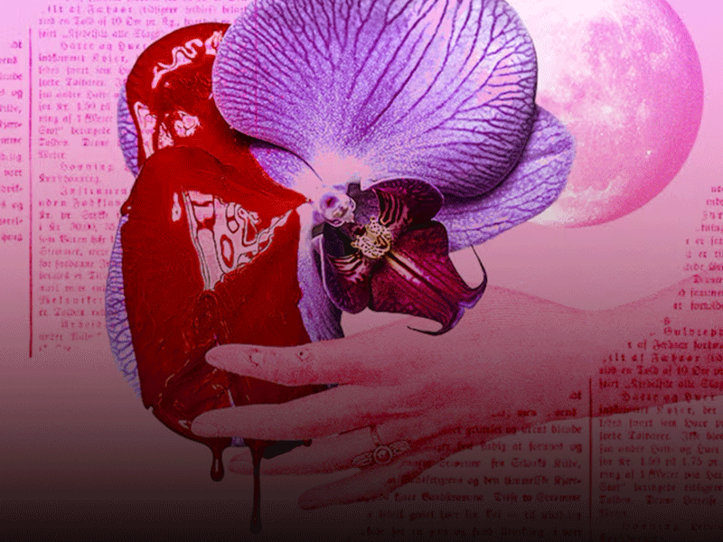 Bienvenida, Menstruación: Nuestra Historia